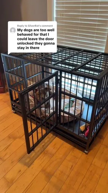 Replying to @SilverRat she's a good gorl.... as long as we're home 😇🤣 #pitbullsoftiktok #dogcage #dogmom #tiktokshopcreatorpicks #tiktokshopblackfriday 