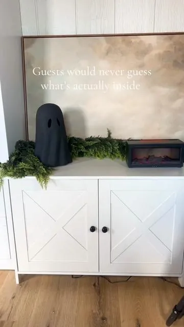 If you have a house with cats, you need this! 🐈