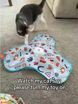 Kevin’s favorite toy!  #cattoys #cattoy #catplaying #catenrichment #tiktokshopcreatorpicks 