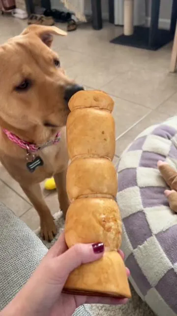7556000689202220302