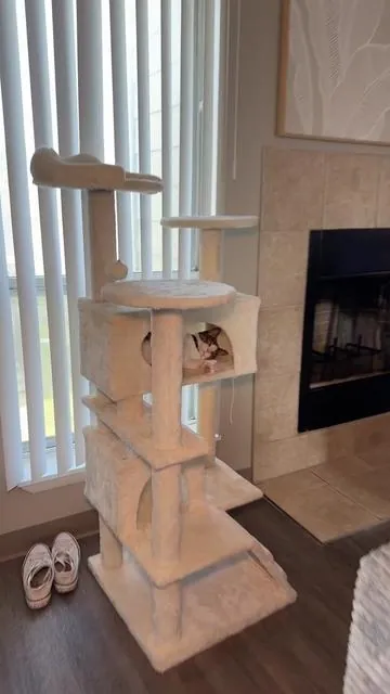 Tu gato merece su propio paraíso! 🐱🌿 Este árbol para gatos es el lugar perfecto para que juegue, trepe, afile sus uñas y descanse como un rey. #ÁrbolParaGatos #CasaDeGatos #RascadorGatos #GatitosFelices #Mascotas   