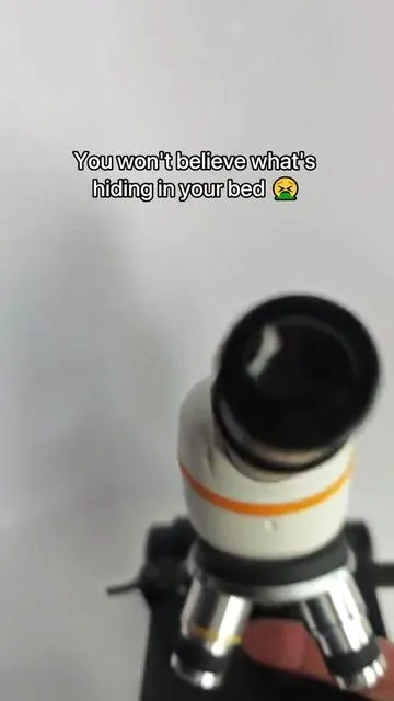 You won’t believe what’s hiding in your bed 🤢 #teant #TEANT #comeback #dustmites#dustmiteallergy #TikTokShop #cleaning #mattressvacuum #deepclean #fyp #foryoupage #foryou #musthave #tiktokmademebuyit #healthyliving #homecleaning #vacuum #mattresscleaning #ShopVideoCarnival#shopvideocarnlval #dealsforyoudays#TikTokShopSummerTurnUp #SelfCare #grwm #elevateyourhome #treasurefinds #sunsetsavings #treasurefinds #seasonalessentials #selfcarefinds #makecozyhomeaffo #smartliving #RushTok2025 #TikTokShopBacktoSchool #videowave #TikTokShopRestock