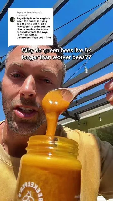 Replying to @Bubblehead royal jelly is soo much more than just honey or bee pollen although this jar contains all 3 of those bee superfoods! #royaljelly #honey #beepollen #superfoods #bee 