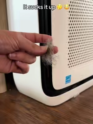 #levoitairpurifier #levoit200s #levoit100s 