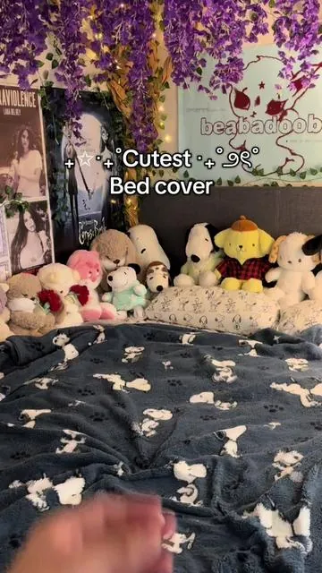 They’re really cute😸 -I’ll eventually come back to my snoopy pillow covers but in the meantime I like this a lot😸 . . . #fypシ #cute #cozy #room #bed 