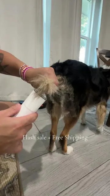 Now is the time to grab this before it goes back to full price!! ##doggrooming##dogsoftiktok##petgrooming##tiktokshopfalldealsforyou##tiktokshopcreatorpicks