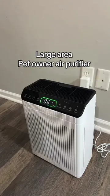 Catches pet hair, dander, pollen, and covers OVER 1600 sqft!  #morentoairpurifier #airpurifiers #tiktokshopcybermonday #tiktokshopblackfriday 