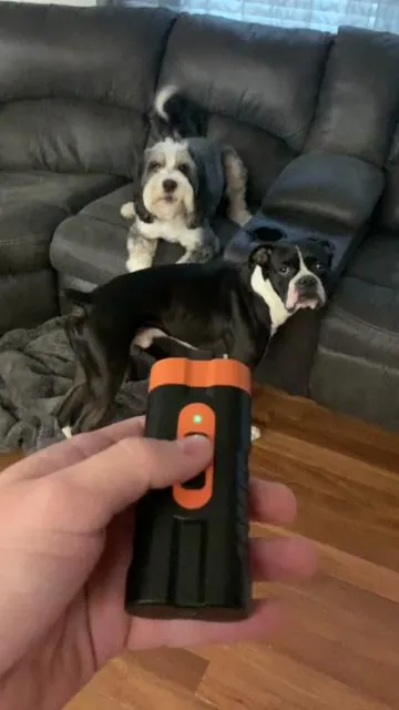 #dog #barkstopper #dogbarking #dogtraining #TikTokShopCreatorPicks 
