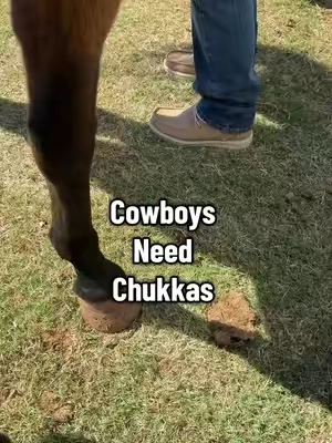 Hey Dude Bradley Chukkas #heydudeshoes #shoes #boots #tiktokshopblackfriday #tiktokshopcreatorpicks @HeyDude 