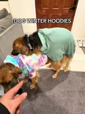 Best dog hoodies we have ever tried! #sparkpaws #doghoodie #doghoodies #dogproducts #tiktokshopcreatorpicks 