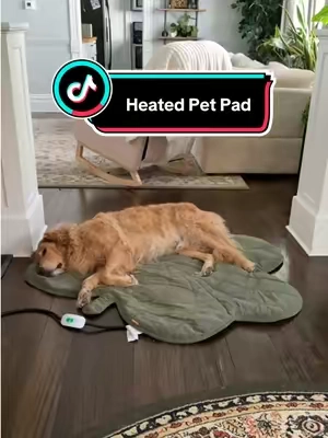 my dog lays on this heated dog bed all day long. 🐶🐾 #dogbed #dogsoftiktok #dogaccessories #heatpad #tiktokshopcreatorpicks 