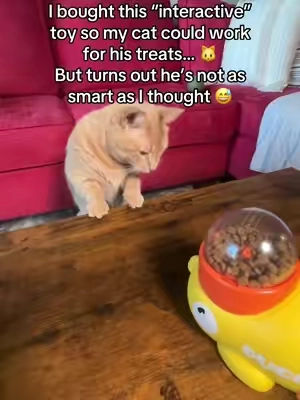 Make playtime exciting! This treat-launching duck keeps cats active, engaged, and happy. Launch snacks with a click, watch them chase, and turn treat time into a fun little game #tiktokshopblackfriday #tiktokshopcybermonday #tiktokshopcreatorpicks #tiktokshopchristmas 