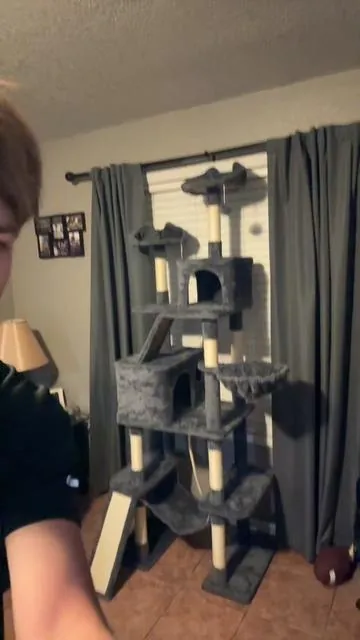It’s ginormous #cattree #catfurniture #giantcattree #ttsfinds #ttshopdeals 