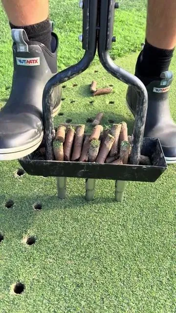 Weekend warrior hack: one tool to prep your lawn for winter #RIFPOD #DadLife #WeekendVibes #YardCare #DIYYard  