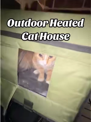 Outdoor cat house that is heated.  #cathouse #outdoorcat #outdoorcats 