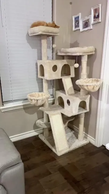 Your cat deserves their own little space #cattree #catcondo #catsoftiktok #cat #tiktokshopcreatorpicks 