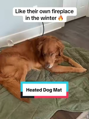 This will be their favorite place on the floor this winter #dogmat #dogbed #heateddogbed #heatingmat #tiktokshopcreatorpicks 