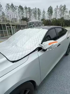 Save time in the mornings with this easy ice and snow windshield cover #winteressentials #frostprotection #tiktokshopfalldealsforyou #snowready #tiktokshopcreatorpicks