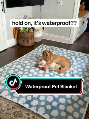 the pet blanket is absolutely amazing!! 🔥 #dogblanket #dogbed #petparent #TikTokShopCyberMonday #tiktokshopblackfriday 