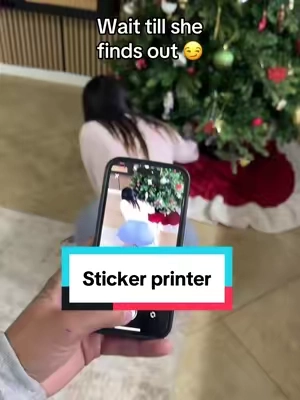 Turn any photo into a sticker! #stickerprinter #sticker #stockingstuffer #christmasgiftideas #tiktokshopblackfriday 