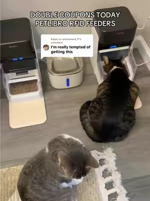 Replying to @whatanerd_11 great savings on @Petlibro RFID feeders today! #tiktokshopblackfriday #tiktokshopcreatorpicks #tiktokshopholidayhaul #catfeeder #petlibro 