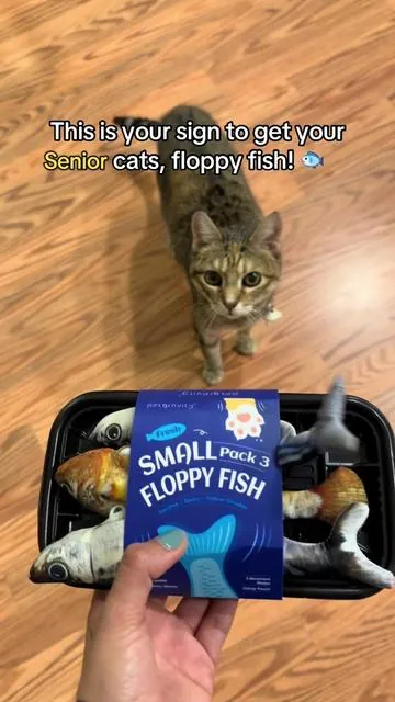Sorry, I keep posting this, I'm just so happy because my senior cats are 9-15 years OLD and it's so hard to get them to play with toys! 🥹 I love these things and FREE SHIPPING 🐟 #cattoys #cattoy #toysforcats #cattok #catowner
