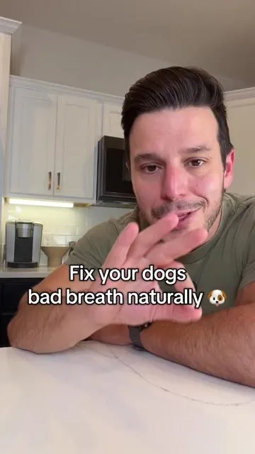 his breath is soo much better after a month #dogdental #doghealth #dogdentalcare #tiktokshopblackfriday #tiktokshopcybermonday 