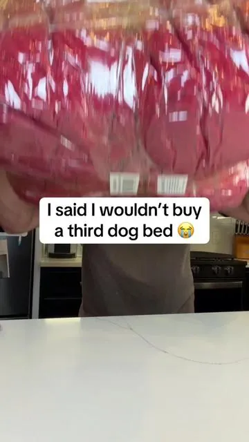 I feel like I had to do it with the deal right now 😭 #dogbed #dogbeds #doglover #tiktokshopblackfriday #tiktokshopcybermonday 