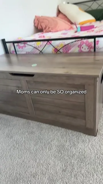 @Kevin Finds #organizedhome #toyrotation #toystorage 