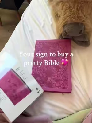 This Bible is absolutely beautiful; insid & out. 🎀 #bible #theword #tiktokshopcybermonday #tiktokshopblackfriday 