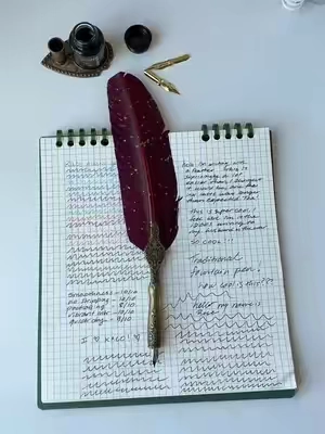 vintage feather pen & ink! #pens #stationery #officesupplies #writing #journaling 
