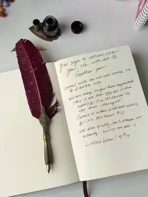 old fashioned fountain pen & ink :) comes with the pen, ink we’ll stand, the ink, & 2 extra nibs! So good for the price #fountainpen #romanticizeyourlife #journaltok #stationery #journaling 