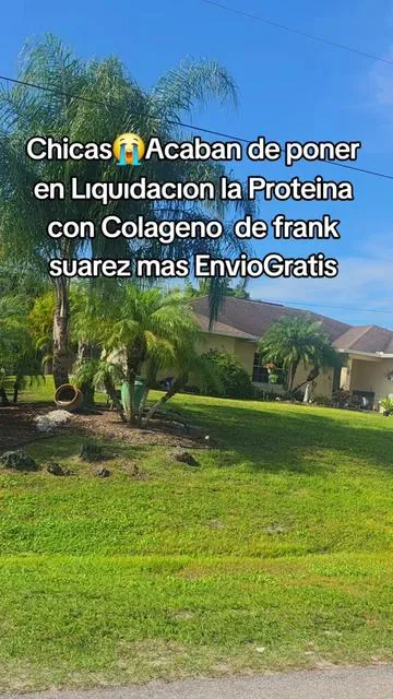 Proteina en Polvo con Colageno Me encanta este batido porque tiene un sabor delicioso y muy suave. Es parte esencial de mi rutina diaria y lo uso siempre por las mañanas. La mezcla contiene monkfruit y colageno, lo que le da una consistencia agradable sin ser demasiado dulce. Lo preparo con agua o leche vegetal y lo disfruto frio. christmasgiftideas gifts giftidea stockingstuffer giftsforher giftsforhim adventcalendar christmasdecor christmastree christmas 2025 christmaslights holidays #tiktokshopcreatorpicks #tiktokshopblackfriday #TiktokShopHolidayHaul #SuperBrandDayBFCM #Proteina  The information shared is for general purposes and does not replace personalized professional guidance. Offer availability may be subject to a limited time. The price shown may vary depending on promotions or availability.