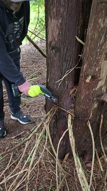 This mini electric chainsaw is a game changer 🌳⚡ Perfect for tree trimming, branch cutting, yard work, and DIY projects. Lightweight, cordless, and powerful with a brushless motor + rechargeable battery. If you need an easy-to-use portable chainsaw for home or garden, this one delivers 💪 Grab it now on TikTok Shop while it’s on flash sale 🛒🔥 #minichainsaw #yardwork #tiktokshopholidayhaul  #tiktokshopholidaydeals 