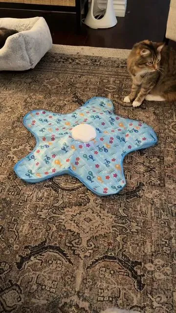 A cat owner must have! #cat #cats #catsoftiktok #cattoys #workfromhome @SPOVEN 