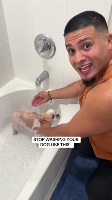 Made for dogs and babies! 😳