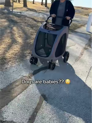 I guess it’s pretty convenient #dogmom #catmom #pets #petstroller #dogstroller 