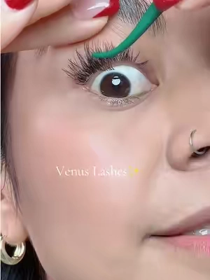 Set de pestañas individuales Venus✨ #individuallashes #lashestutorial #tiktokshopcreatorpicks #venuskitlashes #pestañasnaturales 