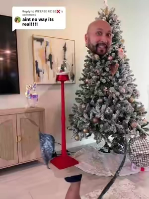 Replying to @WEEPEE RC 85❌ this Invisibility Cloak works with its own app only and so fun 🤩 #invisibilitycloak #magic #cooltricks #wowstuff #tiktokshopcreatorpicks 