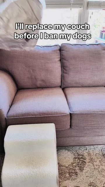 Dog couch protector that actually looks good. Ultra soft, machine washable, back in stock, and my dogs are obsessed with the built-in pillow. @Comfrt  #dogbed #dogsoftiktok #couchprotector #doglover #dogmomessentials