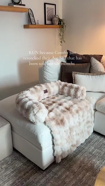 this is the softest and most aesthetically pleasing dog bed you can get @Comfrt #comfrt #dogbed #aesthetics #fyp 
