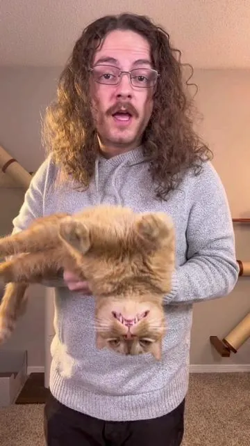 There’s a reason these are the best selling cat toy on here #cat #catsoftiktok #catlovers #viralcats #funnycat #cattoys #cattips 