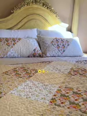 Boho Quilt Set , quality 💯, perfect for spring colors 🌼 #quilt #beddingsets #bedding #tiktokshopfinds #flashsales 
