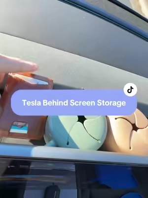 I don’t say it but you know what I’m saying. #teslatok #tesla #fyp #tiktokshopcreatorpicks #tiktokshopfinds 