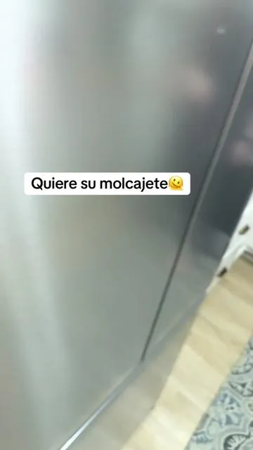 Licuadora viral está a 80 por ciento descuento. #prasky #licuadora 