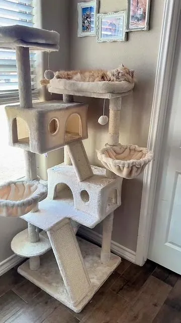 Get one of these for your furry bestie! #cat #cattree #catbed #catmom #cattower 