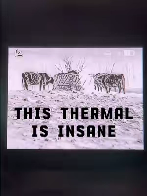 I’ve tried several and this is the best on the market for the price you pay. #thermal #hunting #farming #adventure #rescue 