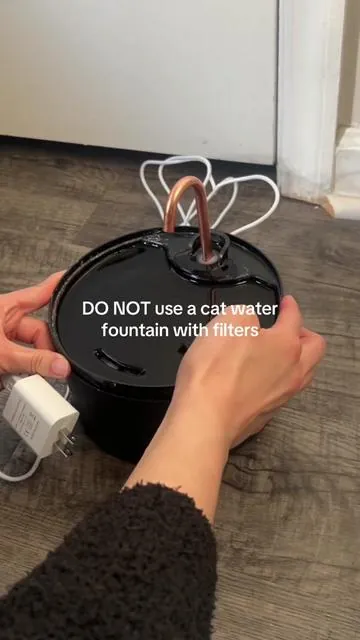 Most cat fountains just recycle dirty water. This one doesn’t. No filters, fresh water daily, and my cat drinks more because of it. Linked Above!  #tiktokshop #catfountain #catproducts #petgadgets #catowners