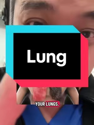 This is the best thing if your lungs have been impacted by all the sickness going on. Mullein leaf has been used for 1,000 of years as an respiratory health supplement and I explain why. Just a quick disclaimer: While I’m a licensed pharmacist, the advice I share here is for general educational purposes only. Always check in with your own doctor or healthcare provider for personal medical advice.  #lung #respiratory #mulleinleaf #cough #tiktokshopjumpstartsale 