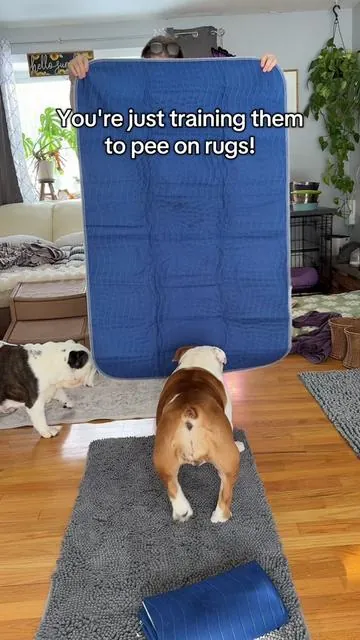 Washable bed pads, washable pee pads, whatever you want to call these they work! #washablepeepads #bedpads #peepads #peepad #washablepads 